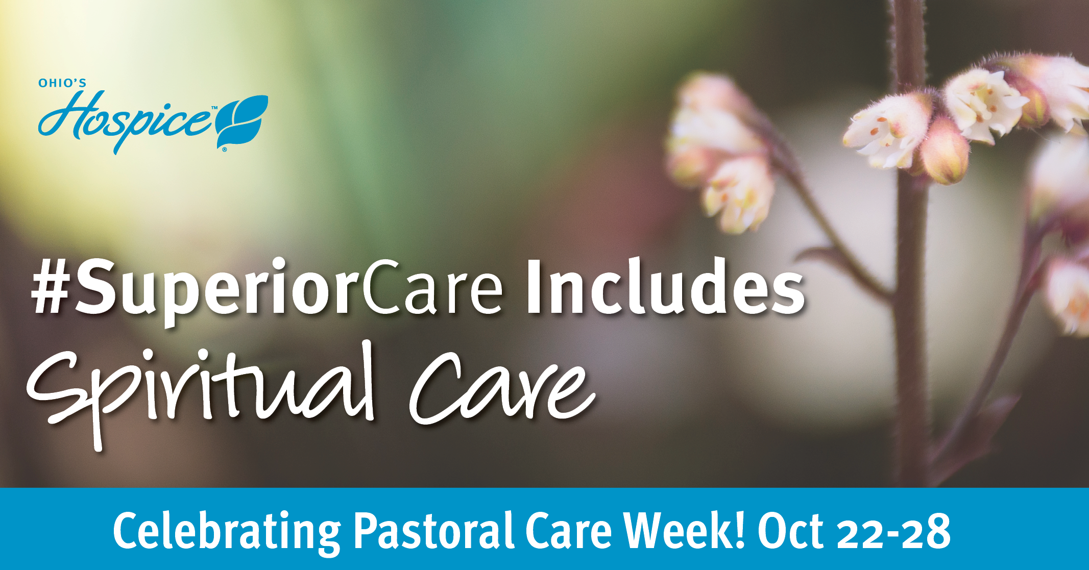 Recognizing our Chaplains During Pastoral Care Week Ohio's Hospice