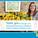 Local Flower Grower Lineage Lane Brings Joy To Patients And Families With Sunflowers 