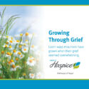 Growing Through Grief