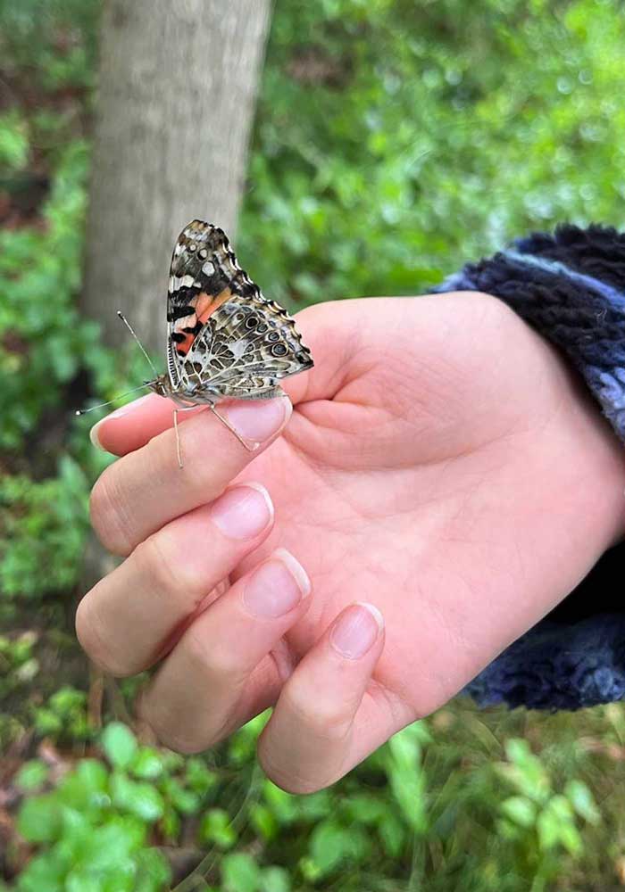 Butterfly Release Wooster, OH Butterly