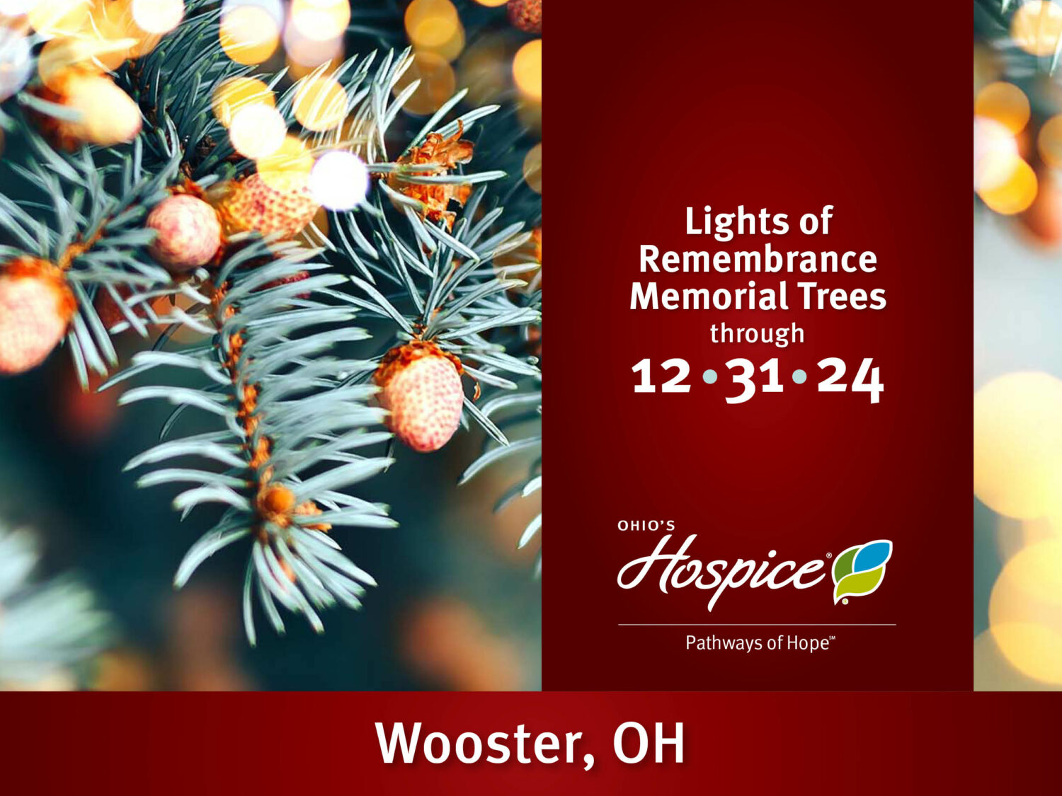 Pathways of Hope Lights of Remembrance Memorial Trees