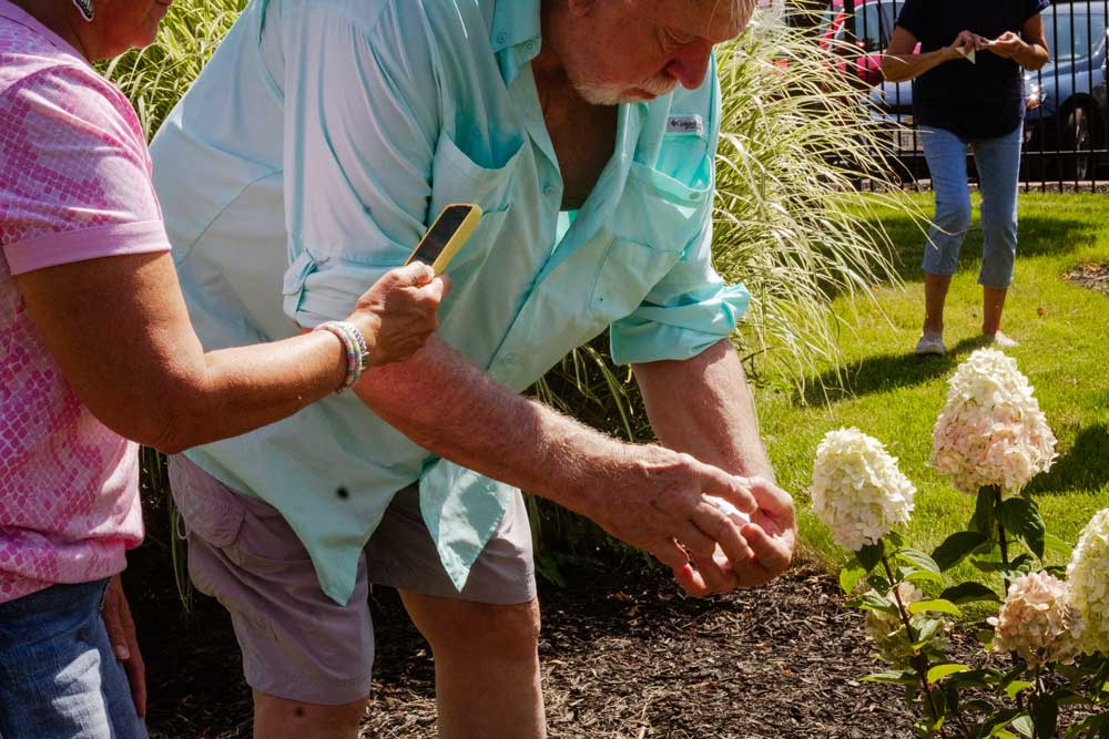 Butterfly Release Newark