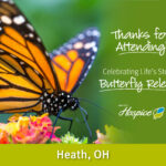 Thank you for attending Butterfly Release Newark