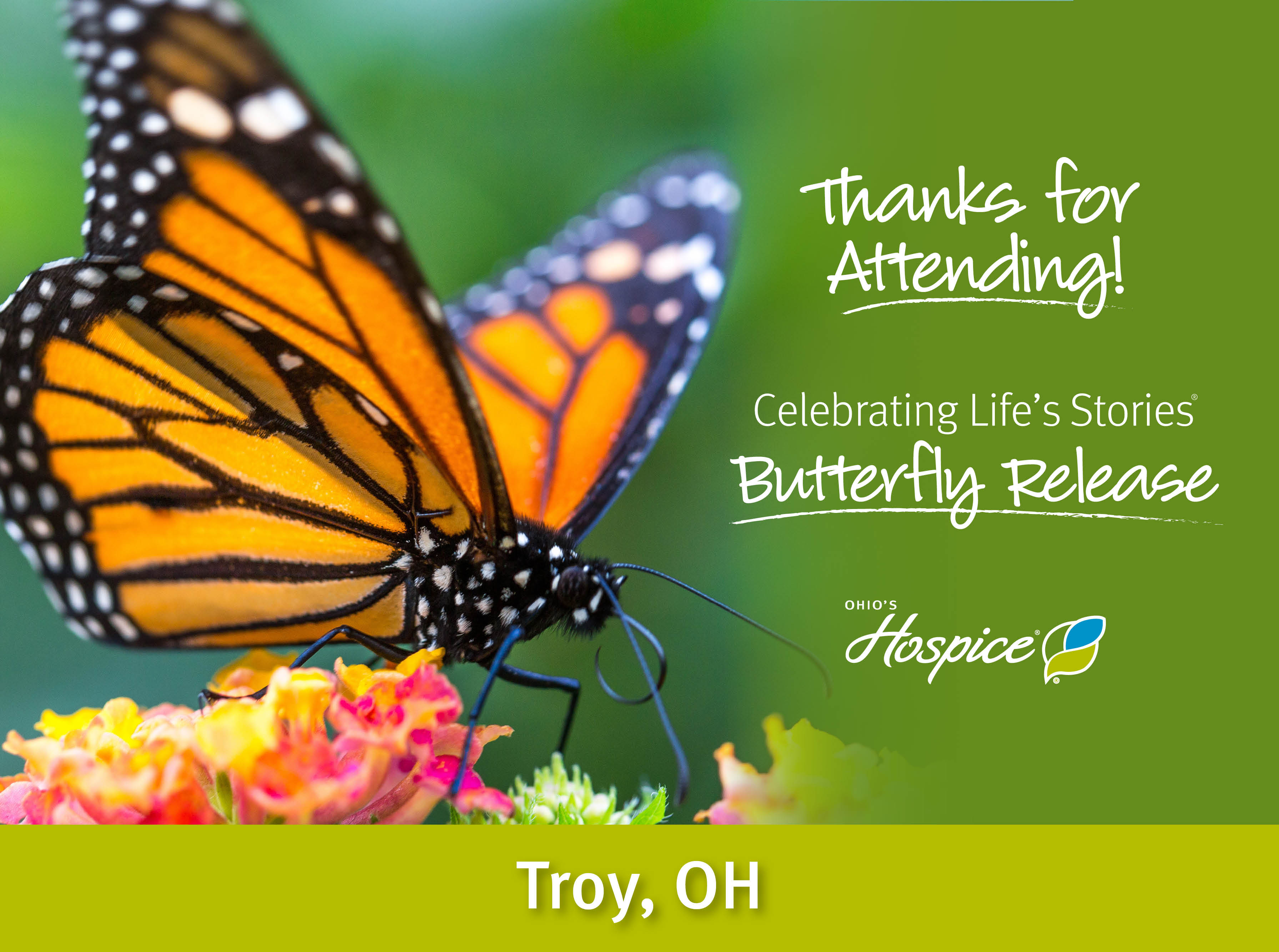 Thank you for attending. Ohio's Hospice Butterfly Release 2024. Troy, OH