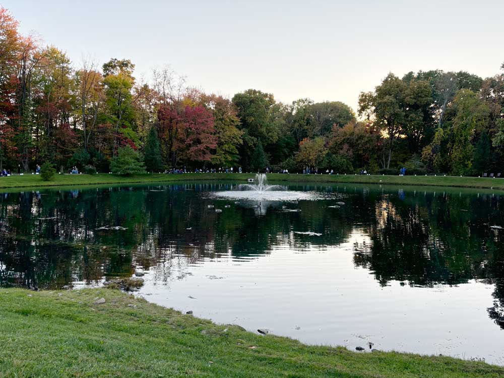 Luminaria 2024 pond